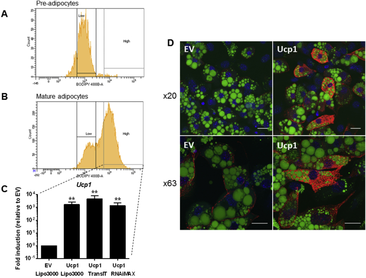 Figure 3