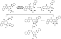 Scheme 7