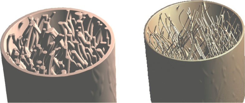 Fig. 11