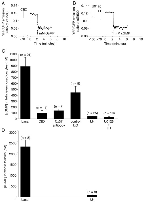 Fig. 9.