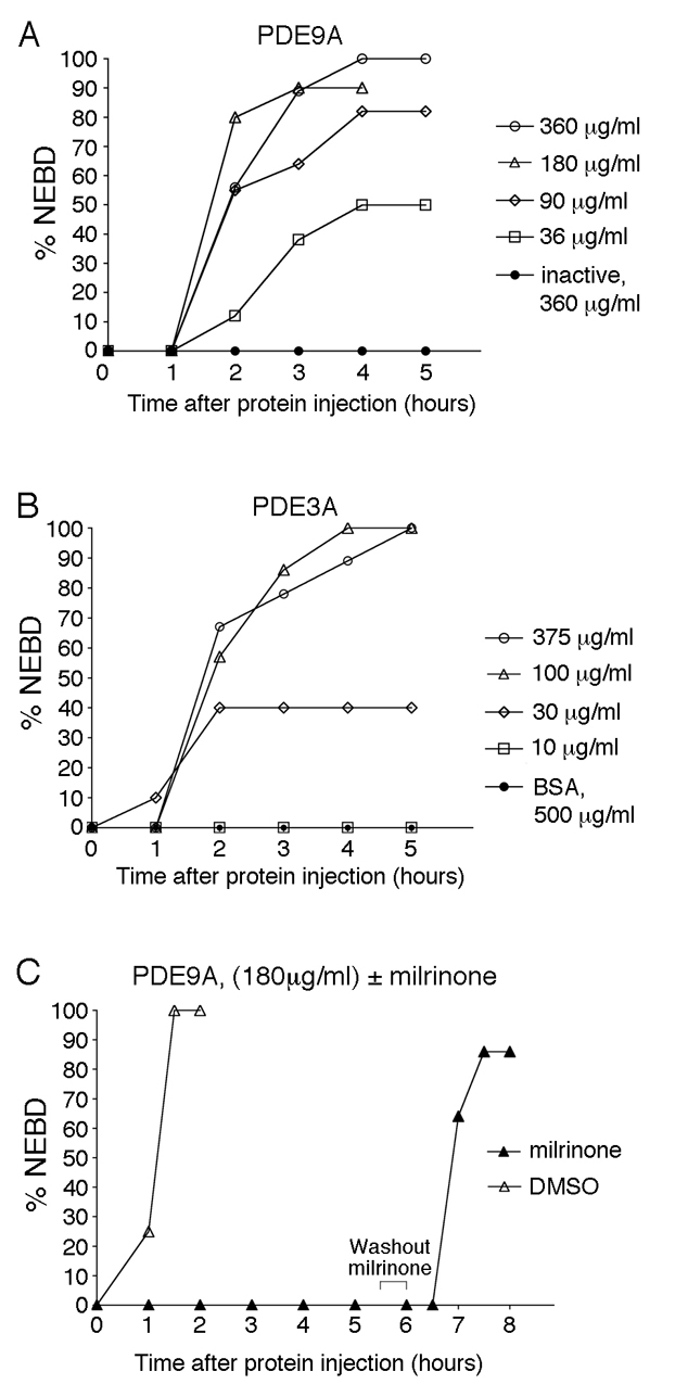 Fig. 8.