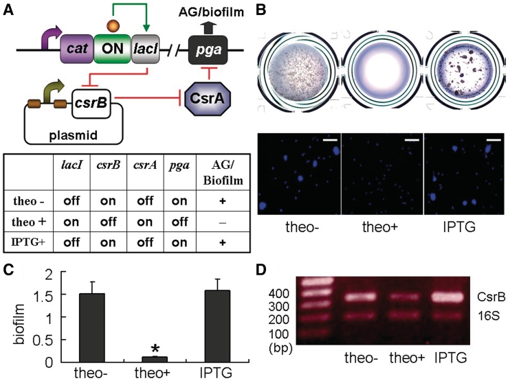 Figure 6.