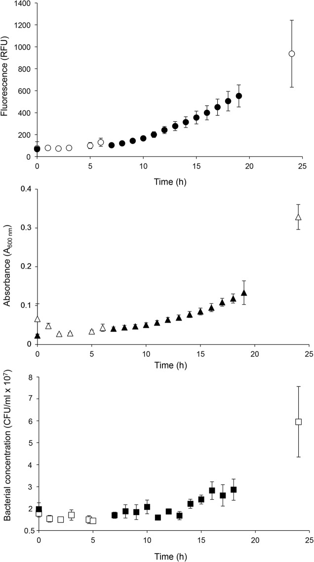 FIG 1