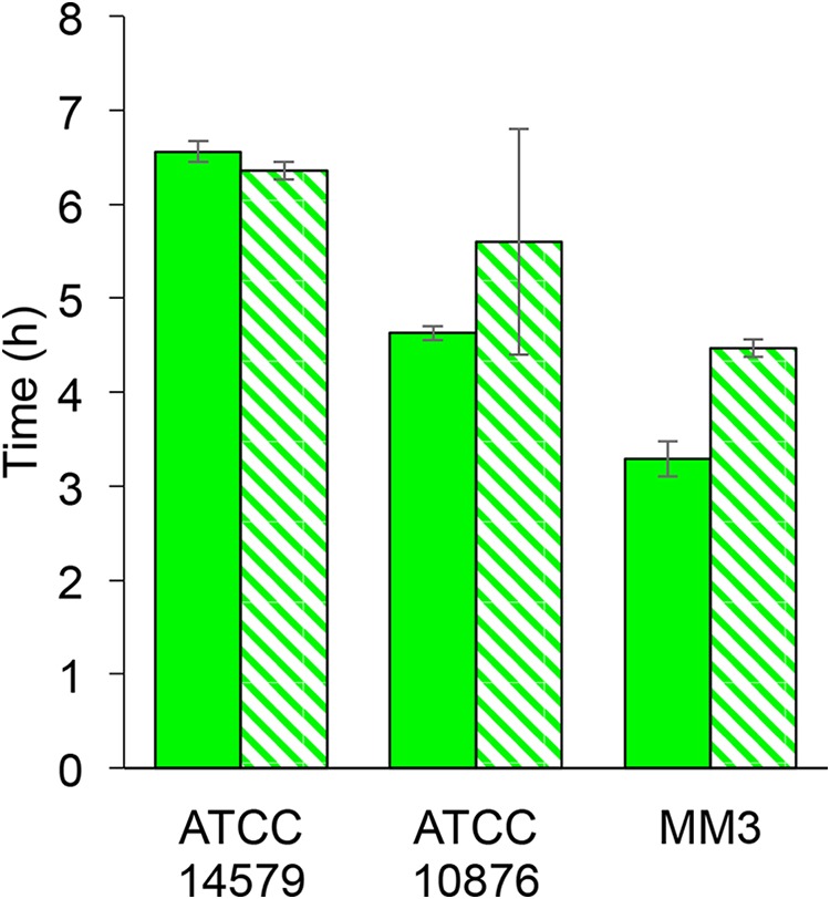 FIG 3