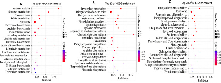 Fig 4