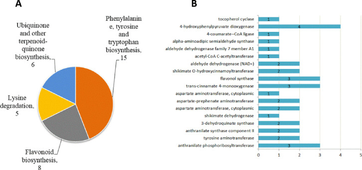 Fig 5