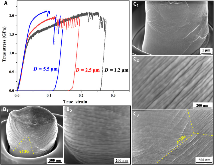 Fig. 6.