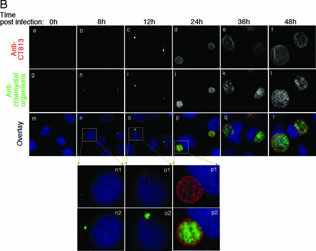 FIG.3.