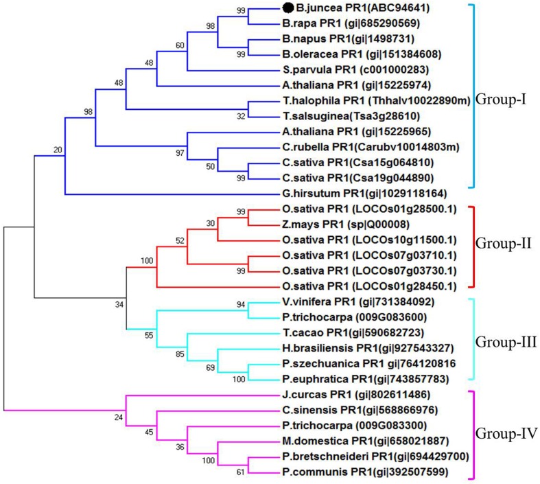 Fig. 2