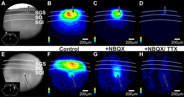 Figure 10.