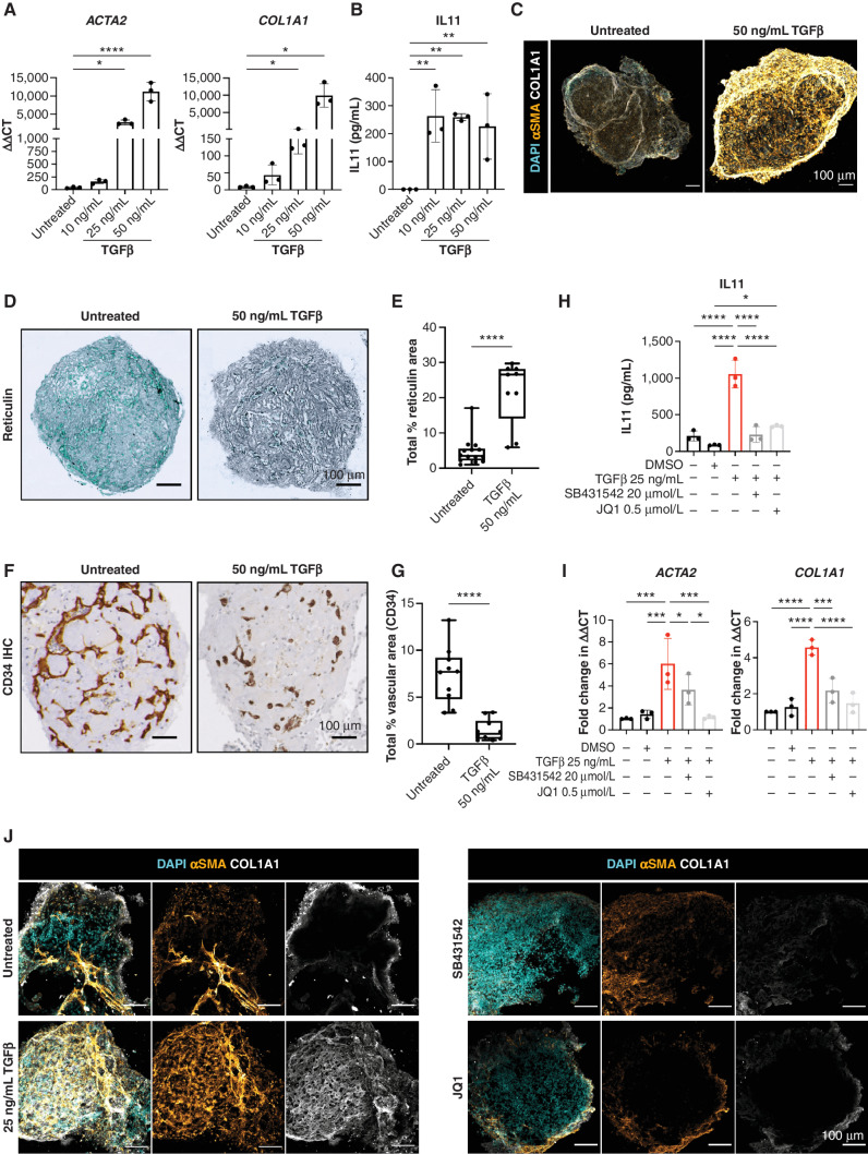 Figure 5. Bone marrow organoids model TGFβ-induced bone marrow fibrosis and enable inhibitor screening. A, Organoids were treated with 10, 25, or 50 ng/mL recombinant TGFβ and evaluated by qRT-PCR for expression of ACTA2 (αSMA) and COL1A1, indicators of fibrosis. B, Soluble IL11 detected in organoid media following treatment of organoids with TGFβ. C, Confocal Z-stack images of whole, untreated, and TGFβ (50 ng/mL)-treated organoids stained for αSMA and COL1A1. D, Reticulin staining of formalin-fixed, paraffin-embedded sections of TGFβ-treated organoids vs. control. E, Measurement of total reticulin stained area in untreated and TGFβ (50 ng/mL)-treated organoids. F, CD34 immunostaining of organoid vessels and (G) quantification of total vascular area of organoids with/without TGFβ treatment. H, Effect of two potential inhibitors of TGFβ-induced fibrosis (SB431542 and JQ1) on IL11 secretion and (I) ACTA2 and COL1A1 expression. J, αSMA and COL1A1 expression in TGFβ-treated organoids with/without indicated inhibitors. Representative images are shown. *, P < 0.01; **, P < 0.05; ***, P < 0.001; ****, P < 0.0001 for one-way ANOVA with multiple comparisons (Fisher LSD). T tests performed for image analysis of paraffin-embedded sections (reticulin and CD34). N = 3 with each repeat comprising 15 organoids pooled from 3 independent differentiations and treatments.