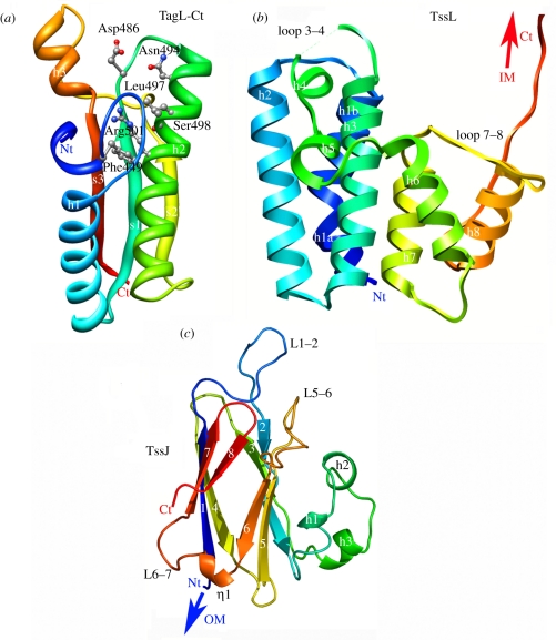 Figure 5.