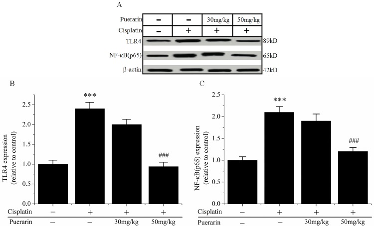 Fig 5