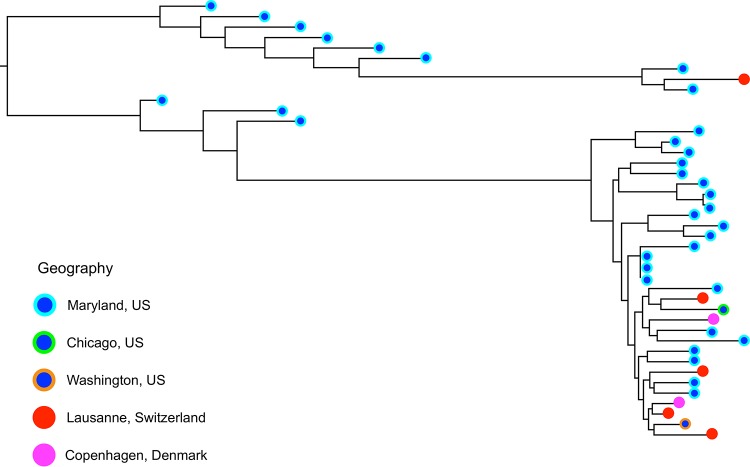 FIG 1 