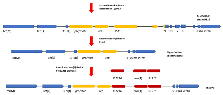 Figure 5