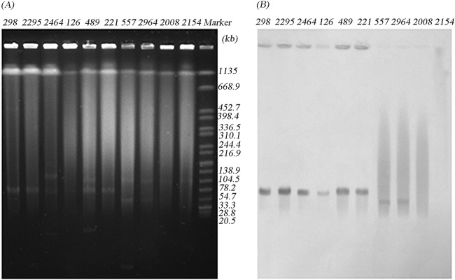 FIG 1