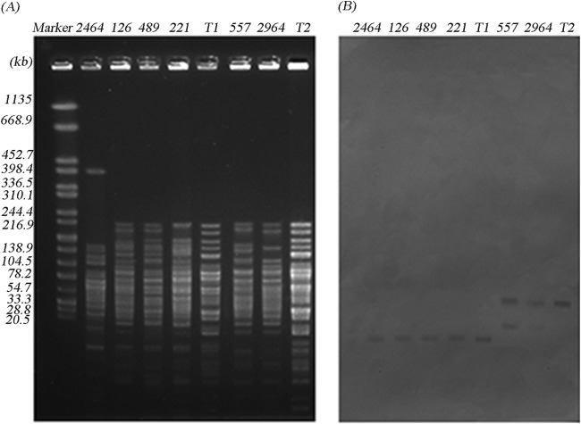 FIG 2