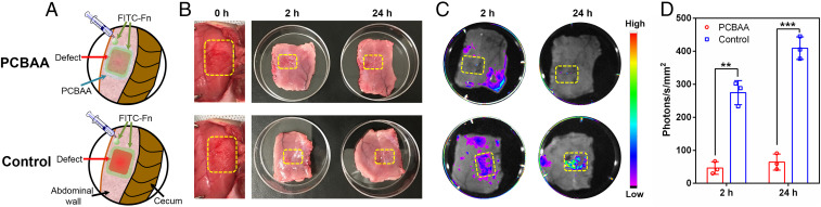 Fig. 2.