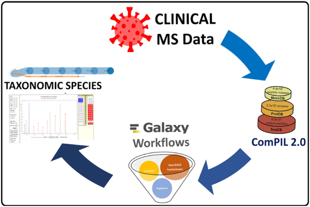 graphic file with name nihms-1922577-f0001.jpg