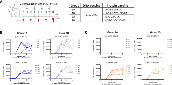 Figure 3