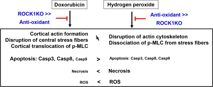 Fig 10