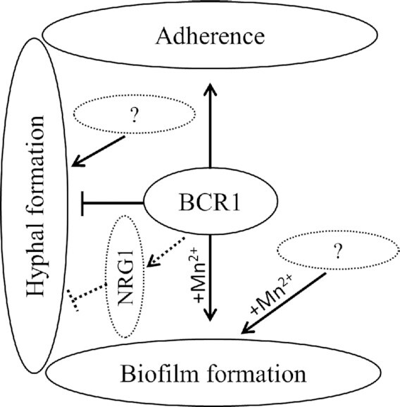 Figure 9.