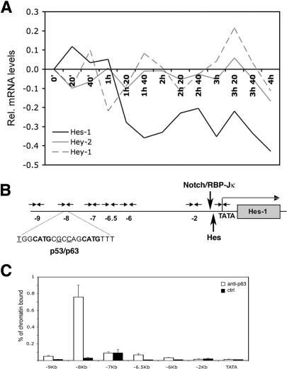 Figure 7.