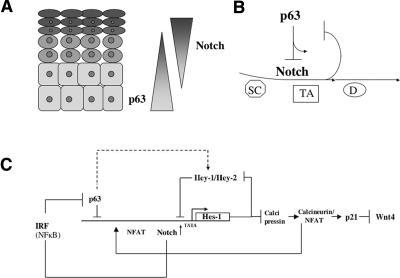 Figure 9.