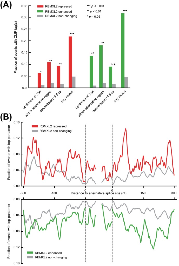 Figure 3—figure supplement 3.