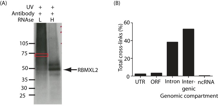 Figure 3—figure supplement 2.