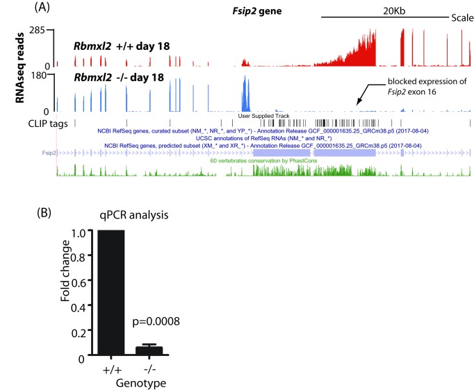 Figure 3—figure supplement 1.