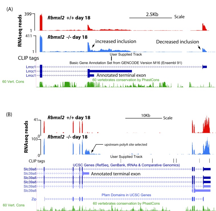 Figure 4—figure supplement 3.