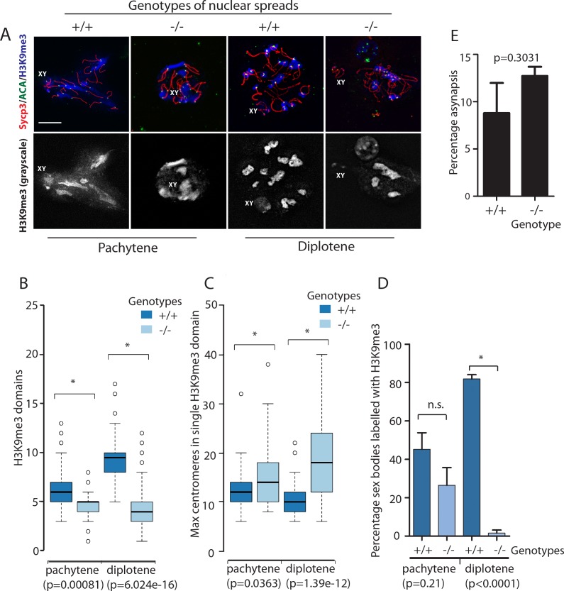 Figure 2—figure supplement 4.