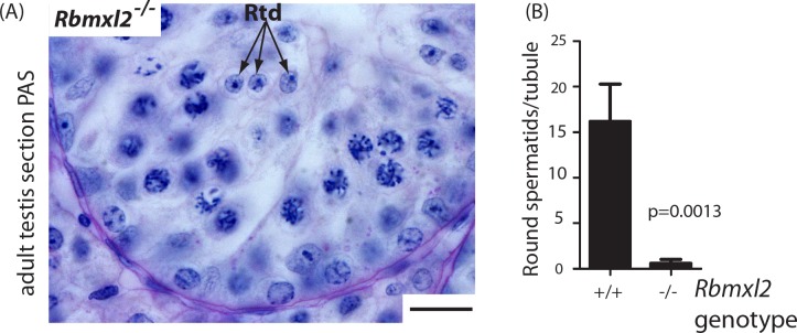 Figure 2—figure supplement 1.