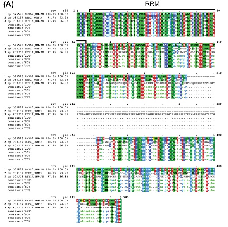 Figure 1—figure supplement 1.