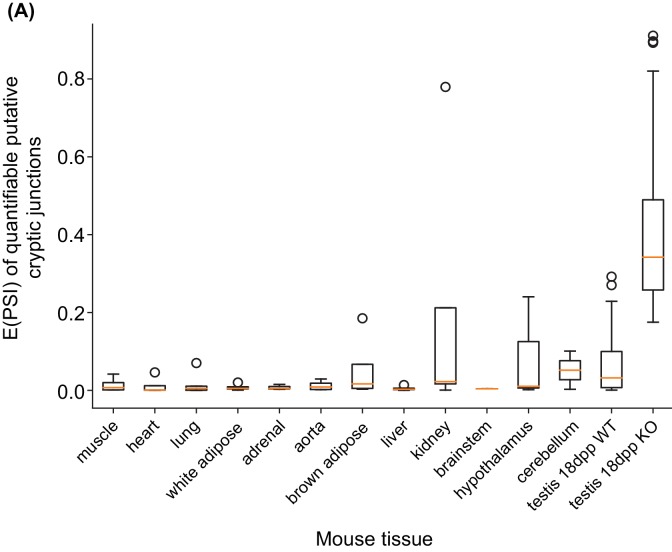 Figure 4—figure supplement 1.