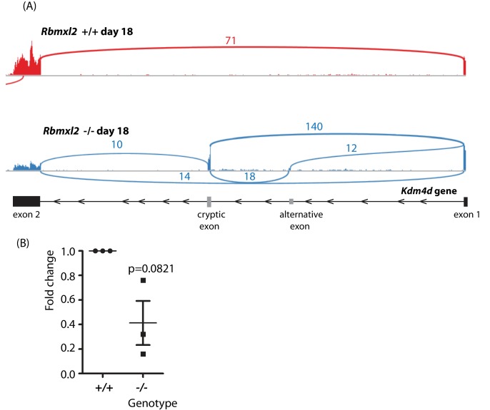 Figure 4—figure supplement 2.