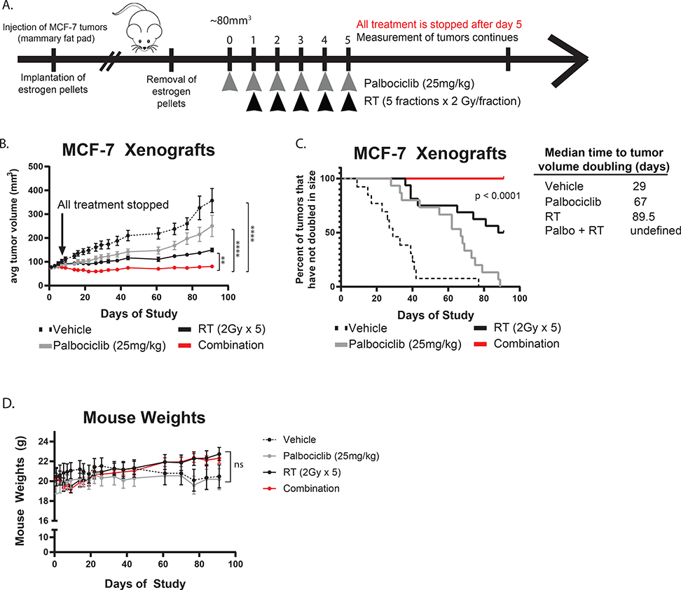 Figure 6: