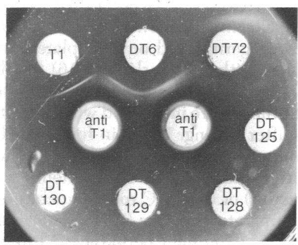 graphic file with name pnas00008-0380-a.jpg