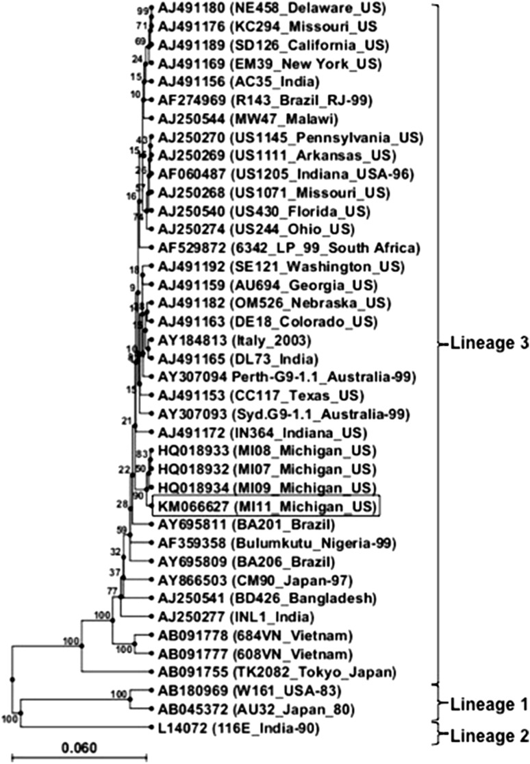 Fig. 1