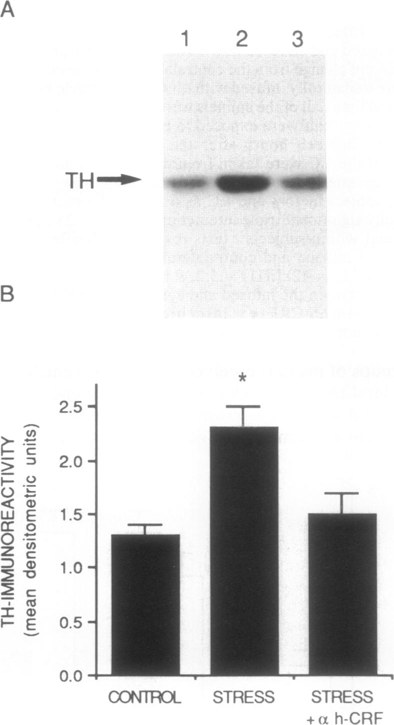 graphic file with name pnas01069-0112-a.jpg