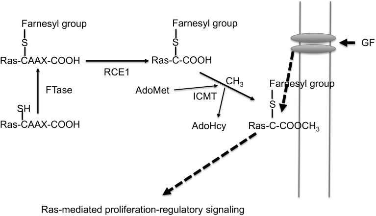 Fig. 1