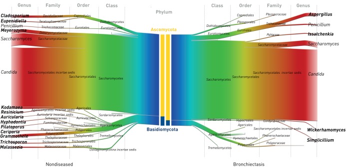 FIGURE 1