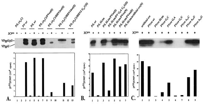 FIG. 4.