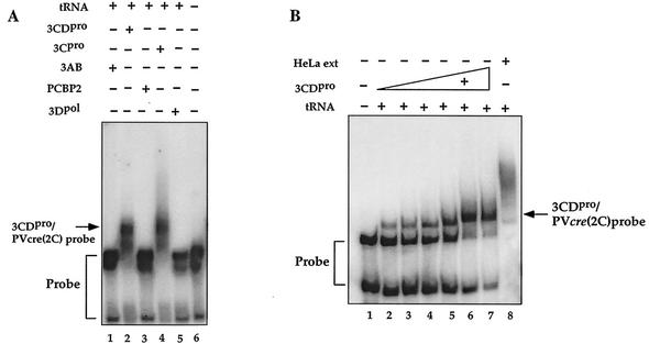 FIG. 8.