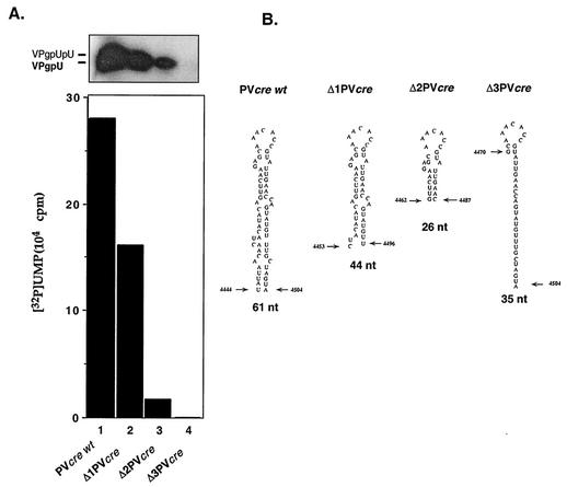 FIG. 7.