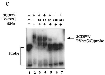 FIG. 8.