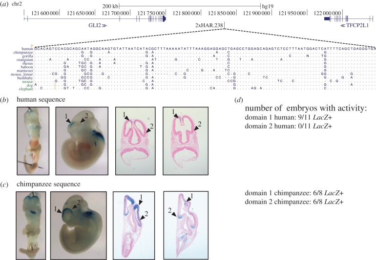 Figure 4.