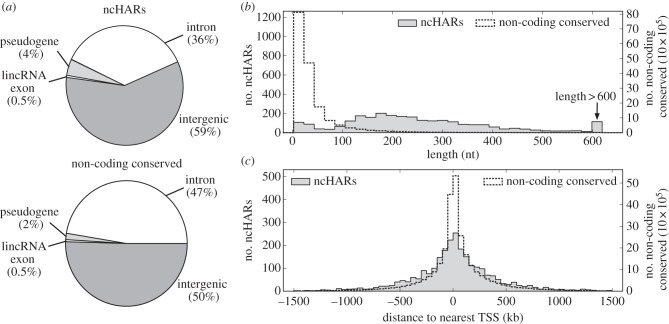 Figure 2.