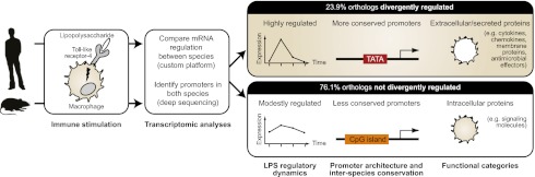 Fig. P1.